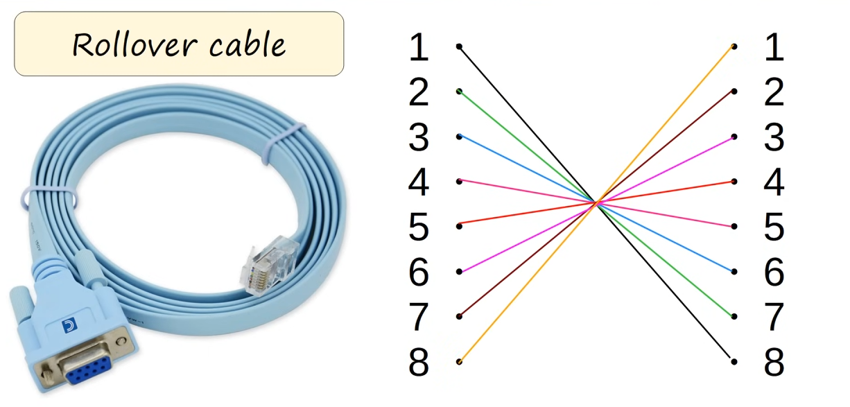 Rollover Cable with DV9 - RJ45 ends