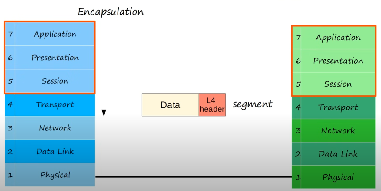 L4 (Transport) PDU (segment)